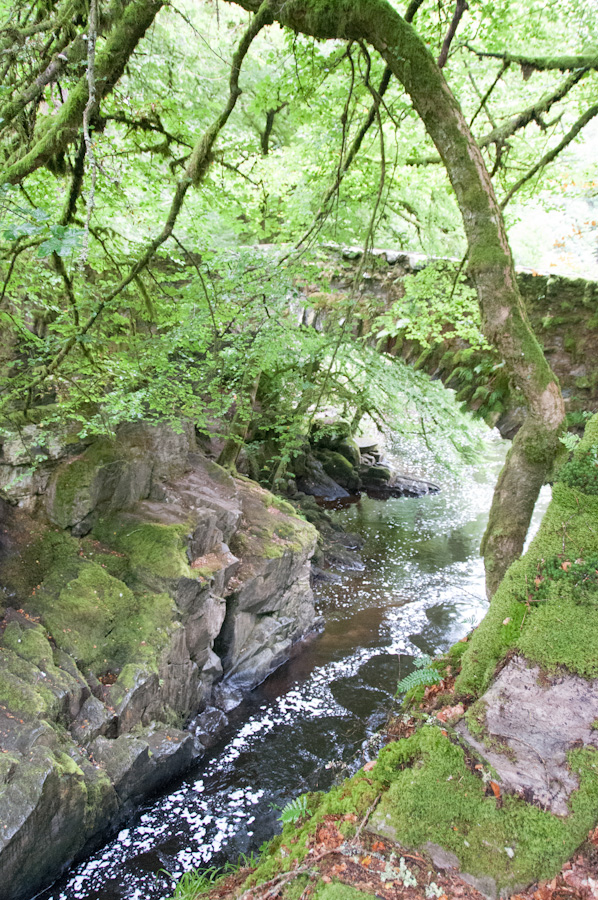 Hermitage Bridge