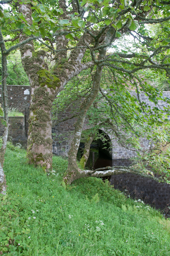 Skye, Dunvegan Castle, Bridge