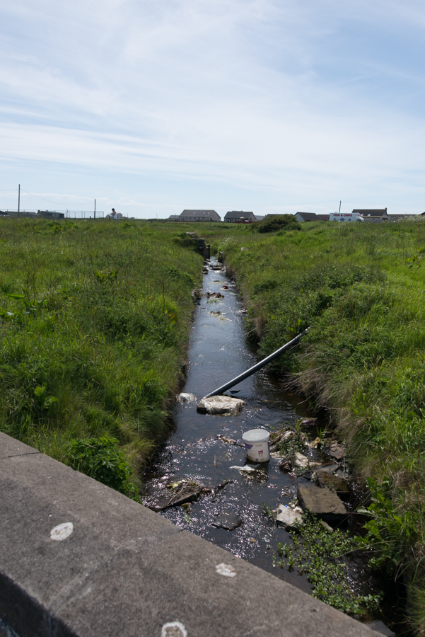 Mill Lade, Hempriggs