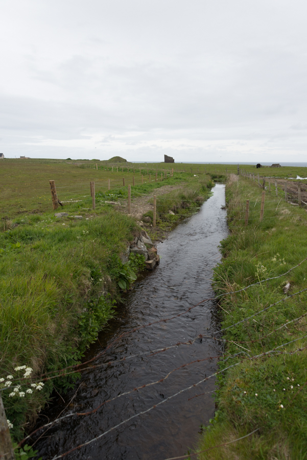 Mill Lade, Hempriggs